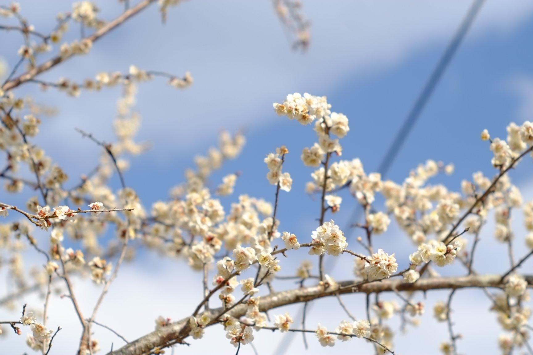 USP研究所 ユニバーサル・シェル・プログラミング研究所