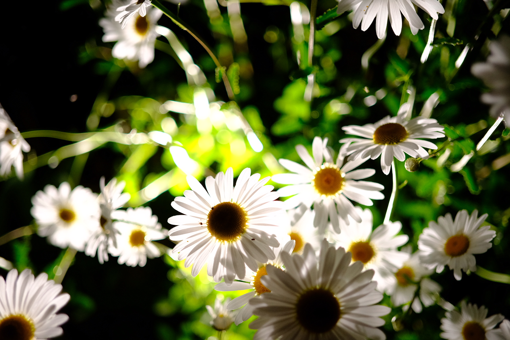 Usp研究所 ユニバーサル シェル プログラミング研究所